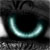 :iconmarto-: