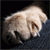 :iconmartochka: