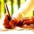 :iconmartyrofdreams: