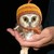 :iconmarvin-bishop: