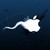 :iconmarvin-clair: