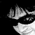 :iconMarwan-Dandash: