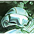 :iconmarwan351: