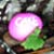 :iconmary-mayhem: