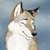 :iconmary046: