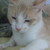 :iconmary1345: