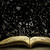 :iconmary1602: