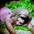 :iconmaryaciolli: