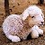 :iconmaryagneslamb: