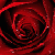 :iconmaryan-de-costa: