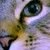 :iconmarybambell: