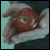 :iconMaryCullen94: