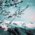 :iconmarygold233: