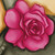 :iconmaryjanebox: