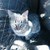 :iconmarymika: