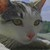 :iconmarynek: