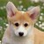 :iconmarynjuliet: