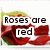 :iconmaryofroses: