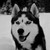 :iconmarysia6242: