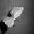 :iconmarysk:
