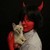 :iconmarytin: