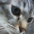 :iconmarytye: