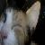 :iconmarz1325: