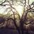 :iconmarzine: