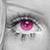 :iconMarzocchi05: