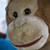 :iconmasac: