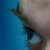 :iconmasaers:
