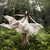 :iconmasahiro-ihara: