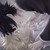 :iconmasamumu055: