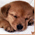 :iconmascararunning: