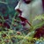 :iconmasha-horkovsky: