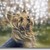 :iconmasha2308: