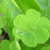 mashimaraux :iconmashimaraux: