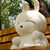 :iconmashimaro870103: