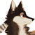 :iconmaskamc5: