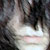 :iconmaskedexcalibur: