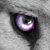 :iconmaskedwhisperer: