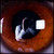 :iconmasomifar: