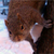 :iconmason4300: