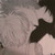 :iconmasondaroe: