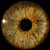 :iconmasque-nu: