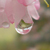 :iconmasqueradelife:
