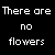 :iconmassacrenafa: