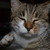 :iconmassai19:
