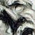 :iconMassinaVicci: