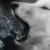 :iconmassochistic: